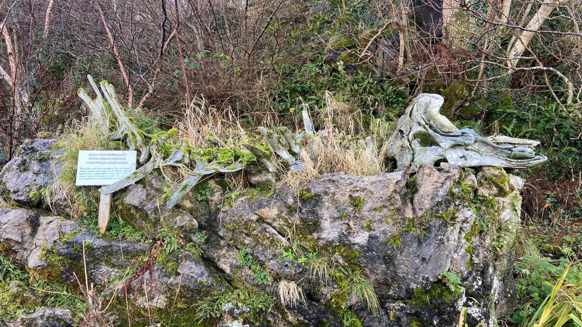 Carnmhor, Isle Of Skye - Stunning 242 Year Old Cottage On Its Own Sea Shore! Breakish Buitenkant foto